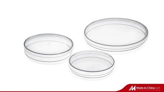 24 Wells Cell Culture Plate Single Pack Sterile